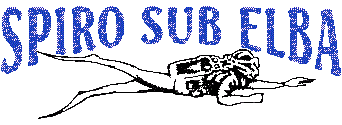 immersioni, scuola sub
